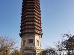 -西海子公园
