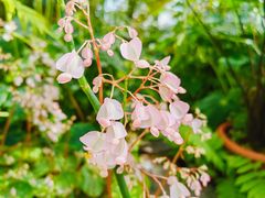 -国家植物园