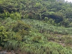 -千岛湖九龙溪漂流