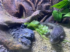 -海南热带野生动植物园