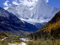 -稻城亚丁景区-冲古草甸