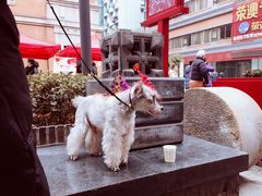 -吉庆街美食广场
