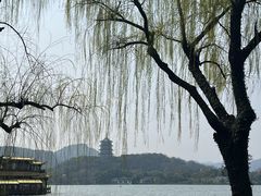 -杭州西湖柳莺里酒店·闻莺厅