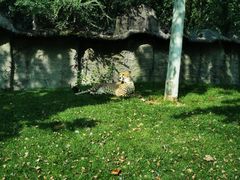 -北京野生动物园