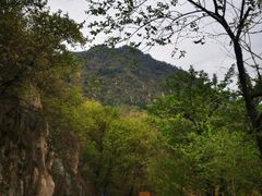 -北京鹫峰国家森林公园