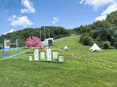 -吉林市朱雀山国家森林公园