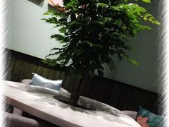 -仙踪林(江燕路万科里店)