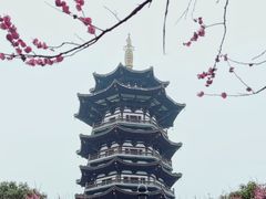 -洋湖国家湿地公园