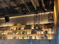 -同仁四季椰子鸡(宝安壹方城店)