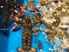 -盒马鲜生(皇庭广场店)