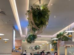 -Aqua Oasis 水天堂(太湖中心mall店)