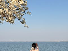 -阳澄湖半岛旅游度假区