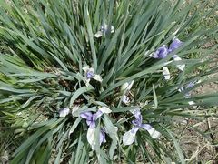 android_upload_pic-妈妈的味道(工人体育场东路店)