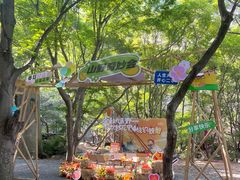 -洛阳花果山景区