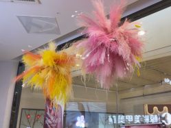 -鲸彩·美甲美睫科技护肤