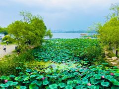 -长春市南湖公园