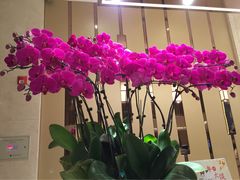 江苏海州湾会议中心-连云港金陵海州湾会议中心