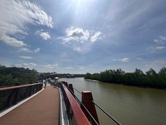 -东寨港红树林旅游区