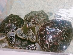 -常州海昌海洋探索馆