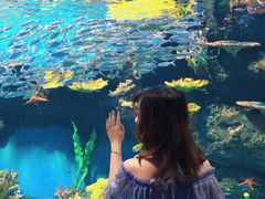 -华夏文旅海洋公园