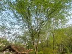 -解香楼(八盘岭路店)