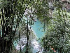 -三峡人家风景区