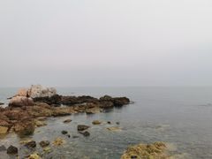 -海岛日记(养马岛店)