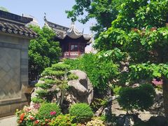 -豫园湖心亭茶楼
