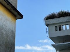 -漫笙舍Manse·咖啡·民宿