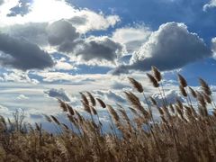 -野鸭湖国家湿地公园