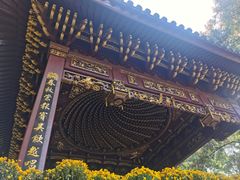 -汇龙潭