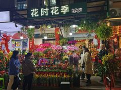 -溪岸路花鸟市场