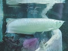 -江和美海洋公园