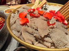 新西兰冰鲜毛肚-巴奴毛肚火锅(七宝领展广场店)