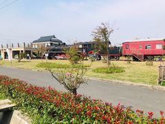 -菊园百果园