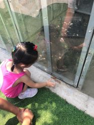 -萌宠亲子动物乐园(槐房万达店)