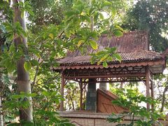 -国家植物园南园