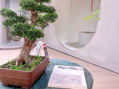 店内环境-二酉书店TOYOU BOOKS