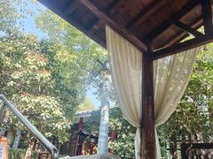 -观唐（国际）度假村温泉