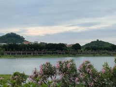 -立新湖公园