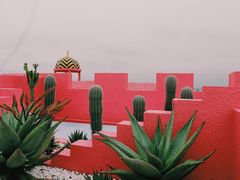 -漳州滨海火山岛自然生态风景区