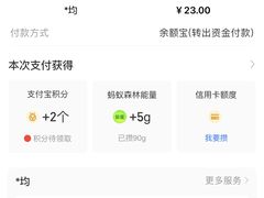 -刘老虎肉丸糊辣汤(总店)