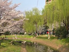 -堤角公园