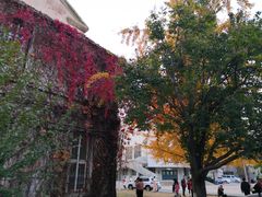 -辽宁大学(崇山校区)
