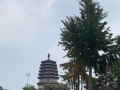 -天宁寺