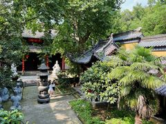 -灵谷景区