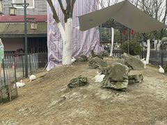 -洪湖家庭农场·团建·露营·会议
