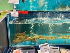-Olé精品超市(重庆观音桥店)