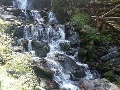 android_upload_pic-凤凰山国家森林公园