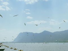 -海埂大坝